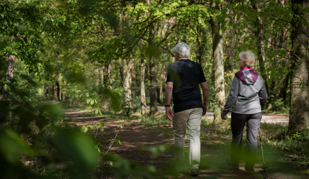 ouder echtpaar wandelt door het bos